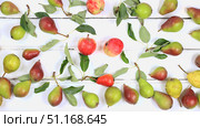 Autumn composition of apples and pears on a sunny table, thanksgiving background, harvesting, healthy natural food concept, detox diet and body cleansing, banner for screen. Стоковое фото, фотограф Светлана Балынь / Фотобанк Лори