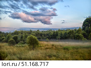 A picturesque summer landscape with thick green grass and a forest on the horizon. A light fog spreads over the field, creating an atmosphere of morning coolness or evening mystery. Large clouds with shades of pink and blue are visible in the sky, illuminated by the rays of the setting or rising sun. The combination of soft light, rich greenery and light haze gives the image a fairy-tale quality and peace. The photo is perfect for themes of nature, ecology, tranquility, meditation, as well as an illustration for calendars, postcards and interior posters. Стоковое фото, фотограф Анна Кривицкая / Фотобанк Лори
