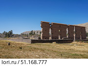 The ancient Inca archaeological site Raqchi. Ruins of a temple with Ashlar masonry andesite base and adobe walls. A sheep is grazing on the dry, yellowed grass in the meadow. Clear blue sky.Peru.Cusco. Стоковое фото, фотограф Вера Ивановна Кубарева / Фотобанк Лори