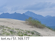 Забайкальский край. Чарские пески. Стоковое фото, фотограф Евгений Епанчинцев / ТАСС / Фотобанк Лори