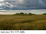 Walking route through the Sestroretskoye Boloto (Sestroretsk swamp) State Nature Reserve on a sunny summer day, Russia, Saint Petersburg, Kurortny District, Beloostrov. Стоковое фото, фотограф Ula Ulachka / Фотобанк Лори