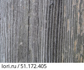 The texture of a sawn-down tree. Macro photography. Стоковое фото, фотограф Олег Тараканов / Фотобанк Лори