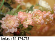 A close-up of delicate decorative flowers in a pastel pink shade. The petals seem airy and translucent, shimmering with soft shades from white to light pink. The flowers are collected in a lush branch, creating a feeling of lightness, romance and sophisticated beauty. In the background, green foliage and a softly blurred beige-golden background are visible, which emphasizes the brightness of the inflorescences. The photo conveys the atmosphere of spring, freshness and grace, ideal for use in the themes of floristry, design, decor and romantic compositions. Стоковое фото, фотограф Анна Кривицкая / Фотобанк Лори