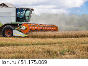 Agricultural machinery. Agricultural industry. A combine harvester picks up golden ears of ripe wheat. The concept of planting and harvesting a bountiful harvest. Стоковое фото, фотограф Photojuli / Фотобанк Лори
