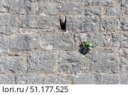 The background old brown stony wall. Стоковое фото, фотограф Татьяна Ляпи / Фотобанк Лори