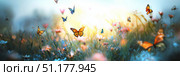 Colorful butterflies and wildflowers in meadow. Стоковое AI-изображение, AI-художник Михаил Коханчиков / Фотобанк Лори