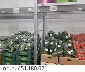 The fresh vegetable section of a supermarket. In the foreground are neatly packed cucumbers in plastic trays and stretch film. On the left are long cucumbers placed in green boxes with the inscription "TOMATOF". On the right are smaller gherkins in transparent packaging, placed in cardboard boxes. A little further on, you can see packaged red tomatoes. Above the shelves are price tags: long cucumbers at a price of 199.99 rubles / kg and gherkins at a price of 219.99 rubles / kg. The atmosphere is typical of a large grocery store, where vegetables are presented in a clean and orderly manner. (2019 год). Редакционное фото, фотограф Анна Кривицкая / Фотобанк Лори