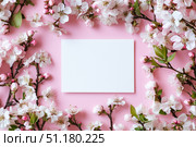 Colorful Flowers Surround a Blank Canvas on a Pink Background for Creative Inspiration. Стоковое AI-изображение, AI-художник Юлия Гапеенко / Фотобанк Лори