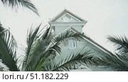 Experience the serene beauty of palm tree leaves swaying softly against a simple backdrop, evoking calmness and relaxation. Стоковое AI-видео, аниматор Данила Большаков / Фотобанк Лори