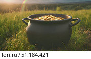 Сast iron pot filled with shimmering gold coins resting in lush green grass. Сamera pans over treasure, capturing the glint of coins in sunlight. Стоковое AI-видео, аниматор Данила Большаков / Фотобанк Лори