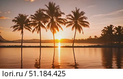 Beauty of sunset with palm trees casting reflections in water. Sun dips below horizon, painting sky with vibrant colors and creating stunning scene. Стоковое AI-видео, аниматор Данила Большаков / Фотобанк Лори