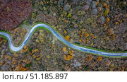 Winding road through autumn forest in Navarre, Spain. Стоковое фото, фотограф Данил Руденко / Фотобанк Лори