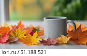 A gray ceramic mug stands on a windowsill surrounded by a scattering of brightly colored autumn leaves in shades of red, orange, and yellow. The soft natural light from the window and blurred greenery outside create a cozy, tranquil atmosphere. This image evokes themes of seasonal transition, warmth, introspection, and comfort—capturing the essence of a peaceful autumn morning or afternoon, often associated with personal reflection, nature's beauty, and slow living. Стоковое AI-видео, аниматор Ксения Чунаева / Фотобанк Лори