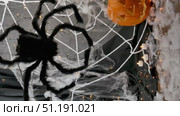Pumpkin and black spider on a white web with flashing lights, Halloween holiday concept. Стоковое видео, видеограф Катерина Белякина / Фотобанк Лори