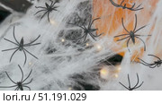 Many small spiders on a white web on Halloween against the background of a pumpkin. Стоковое видео, видеограф Катерина Белякина / Фотобанк Лори
