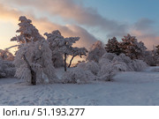 Panorama of snow covered trees in resort Pyatigorsk (2023 год). Стоковое фото, фотограф Юлия Белоусова / Фотобанк Лори