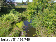 Река Катайка (приток Исети), город Катайск, Курганская область. Редакционное фото, фотограф Алексей Иванов / Фотобанк Лори