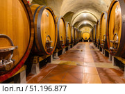 Rustic wine cellar with large wooden barrels in arched stone basement. Стоковое AI-изображение, AI-художник Zakharova Natasha / Фотобанк Лори