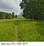 Особняк Воронцова (усадьба Новознаменка, Санкт-Петербург), сине-белый дворец в стиле барокко работы Трезини и Ринальди, летний вид с зелёным лугом. Стоковое фото, фотограф Елена  Попкова / Фотобанк Лори