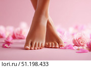 Woman's beautiful bare feet against a pink background. The soles and well-groomed toes and rose petals scattered around. Perfect skin tone. Pastel-colored backdrop for beauty and skin care advertising. Стоковое фото, фотограф Марина Демидюк / Фотобанк Лори