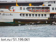 ISTANBUL, TURKEY - NOVEMBER 25, 2021: Ship and seagulls fishing. Редакционное фото, фотограф Наталия Кирсанова / Фотобанк Лори
