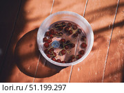 Ripe red cherry and blue plum berries in clear water in plastic jar, sunny summer light and shadow on vintage old terracotta painted diagonal floor. Стоковое фото, фотограф irisff / Фотобанк Лори