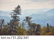 A mountain range with trees in the foreground and a cloudy sky in the background. The trees are tall and sprawling, giving the impression of a vast open landscape. Стоковое фото, фотограф Наталия Кирсанова / Фотобанк Лори