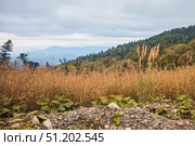 A mountain range with grass in the foreground and a cloudy sky in the background. Tall and spreading trees give the impression of a vast open landscape. Стоковое фото, фотограф Наталия Кирсанова / Фотобанк Лори