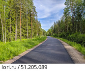 Beautiful view of forest road in sunny day. Стоковое фото, фотограф Denis Vostrikov / Фотобанк Лори