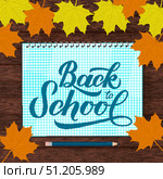 Back to school lettering hand written in a notebook. Wooden texture background and fall leaves. Vector template for advertising poster, logo design, banner, flyer, sign, greeting card, invitation, etc. Стоковая иллюстрация, иллюстратор Вера Федорова / Фотобанк Лори