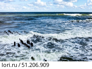 Crashing Waves and Weathered Wooden Posts Meet on the Baltic Sea Shoreline. Стоковое фото, фотограф Aleksandr Golubev / Фотобанк Лори