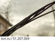 A worn-out wiper blade that leaves smears and streaks on the windshield. Стоковое фото, фотограф Дмитрий Коростылев / Фотобанк Лори