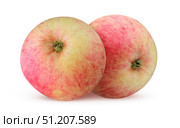 Apples isolated on a white background. Стоковое фото, фотограф Дмитрий Цветков / Фотобанк Лори