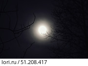 Moon Glows Over Wintry Trees of Karelia Finland, a Cold Night. Стоковое фото, фотограф Aleksandr Golubev / Фотобанк Лори