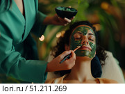Косметолог наносит кистью зеленую косметическую маску на лицо женщины в спа-салоне. Стоковое AI-изображение, AI-художник Кирилл Сиротюк / Фотобанк Лори