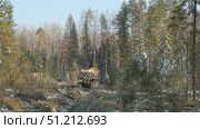 work skidder logging in winter. Стоковое видео, видеограф Алексей Сергеев / Фотобанк Лори