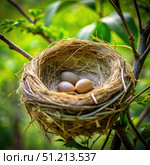 Three Bird Eggs Nestled in a Woven Nest on a Branch. Generative AI. Стоковое AI-изображение, AI-художник Roman Zavorotny / Фотобанк Лори