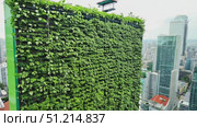 A stunning vertical garden thrives on a skyscraper, enhancing urban life with vibrant greenery against a backdrop of tall buildings. Стоковое AI-видео, аниматор Данила Большаков / Фотобанк Лори