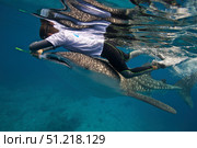 A researcher collecting copepods from a whale shark in the Bohol Sea, Philippines. VW Pics/Stocktrek Images/TASS. Стоковое фото, агентство ТАСС / Фотобанк Лори