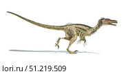 Velociraptor dinosaur on white background. Leonello Calvetti/Stocktrek Images/TASS. Стоковое фото, агентство ТАСС / Фотобанк Лори