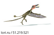 Dorygnathus flying dinosaur. Leonello Calvetti/Stocktrek Images/TASS. Стоковое фото, агентство ТАСС / Фотобанк Лори