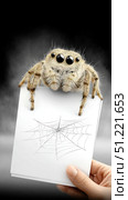 Jumping spider perching on white paper, intricate spiderweb drawing underneath, merging natural and artistic elements in visually striking composition. Стоковое AI-изображение, AI-художник Юрий Поздников / Фотобанк Лори