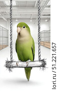 Playful green parrot perching on colorful drawn swing inside quirky pet shop, surrounded by diverse hanging bird cages with bright, imaginative setting. Стоковое AI-изображение, AI-художник Юрий Поздников / Фотобанк Лори