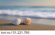 Gentle waves washing over delicate seashells resting on golden sand, capturing serene sunset coastal moment with warm, peaceful glow. Стоковое AI-видео, аниматор Юрий Поздников / Фотобанк Лори