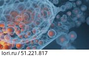 Medical visualization revealing blood clot development, blocking blood vessel with aggregating red blood cells and platelets, disrupting critical circulatory pathway. Стоковое AI-видео, аниматор Юрий Поздников / Фотобанк Лори