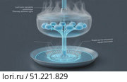 Cutting edge kitchen appliance revealing glowing internal mechanisms, steam rising through transparent dome against pristine white setting. Стоковое AI-видео, аниматор Юрий Поздников / Фотобанк Лори