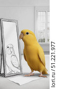 Vibrant yellow parrot perching beside mirror, examining reflected image in stark white space, revealing introspective and inquisitive bird behavior. Стоковое AI-видео, аниматор Юрий Поздников / Фотобанк Лори