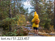 Tourism. Hiking. Ladoga skerries. Father and son tourists in yellow raincoats on stone islands in the forest. Republic of Karelia, Russia. Стоковое фото, фотограф Photojuli / Фотобанк Лори