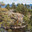 Ladoga skerries, stone islands on Lake Ladoga. Republic of Karelia, Russia. Стоковое фото, фотограф Photojuli / Фотобанк Лори