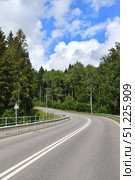 Asphalt road in a beautiful summer mixed forest. Стоковое фото, фотограф Володина Ольга / Фотобанк Лори